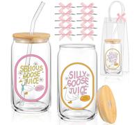 Yetene Set of 2 Silly Goose Juice Glass Cup with Clear Gift Bag Coquette Glass Tumbler with Straw and Lid 16oz Funny Iced Coffee Glass Cup