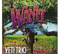 Yeti Trio - Live from Wanee 2013