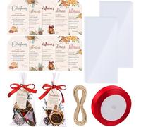 Yexiya 50 Set Christmas Potpourri Cellophane Bags 50 Potpourri Gift Bags 50 Stovetop Simmer Instruction Tags Holiday DIY Crafting Kit for Home Xmas Party Gift Decor