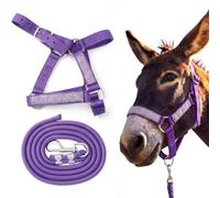 Yeyeplum 1 Set Miniature Donkey Halter with Lead Ropes, Cute and Stylish Adjustable Nylon Head Collar Set for Miniature Donkeys (Purple)