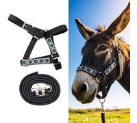 Yeyeplum 1 Set Miniature Donkey Halter with Lead Ropes, Cute and Stylish Adjustable Nylon Head Collar Set for Miniature Donkeys (Black)