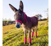 Yeyeplum Mini Donkey Fly Mask with Ears and 4 Set Donkey Fly Boots Mule Leggings, Breathable Stretchy Mule Leg Wraps Mask Boots with Mesh Eye Covers from Insects and Bugs with Adjustable (Rose Red)