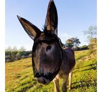 Yeyeplum Small Donkey Fly Mask with Ears Protection Breathable Mule Fly Mask with Long Ears Protection from Insects and Bugs Soft Mesh with Adjustable Fastener Easy to get on and Off(Black)