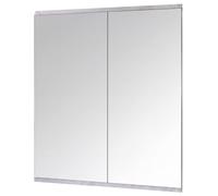 Yezi Home Gym Mirrors Wall Mounted Full Body Mirror 2 PCS 120cm x 60cm in Silver | Size: 120 cm x 60 cm Yezi Silver 120 cm x 60 cm