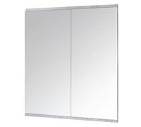 Yezi Home Gym Mirrors Wall Mounted Large Full Body Mirror 2 PCS 120cm x 60cm