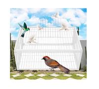 YFAURNDE Auto Trap Pigeon Cage Folding Pigeon Cage with One-Way Entry Skylight Devise on The Top, Home Garden Agricultural Crop Protection Garden, Horticulture(White,60 * 40cm)