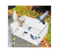 YFAURNDE Bird cage for pigeon Chicken and Bird Trap Cage, Pigeon Traps with Escape-Proof Design, Can catch sparrows, quail, birds(White,100 * 60cm)