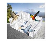 YFAURNDE Cage Feral Pigeon Humane Way,One-Way Entrance Trapping U-Trap Door for Quail Doves Complete accessories, simple structure, suitable for outdoor use(White,60 * 40cm)