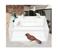 YFAURNDE Chicken and Bird Trap Cage, Skylight Devise on The Top, Four-sided one-way entrance pigeon cage, Easy to assemble, with skylight, humanized trap(White,90 * 60cm)