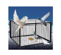 YFAURNDE Pigeon Cage Pigeon coop with one-way entry door Cage Feral Pigeon Humane Way Agriculture Crop Protection Bird Pest Prevention Birds, Farm, Orchard, Garden(Black,60 * 40cm)