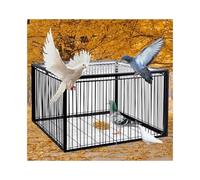 YFAURNDE Pigeon trap Cage Feral Pigeon Humane Way Pigeon Cage with One-Way Entry, Humane trap for birds, small animals, gardens, gardening(Black,60 * 40cm)