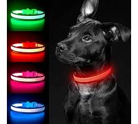 YFbrite Light up Dog Collar, Rechargeable LED Dog Collar, Flashing Dog Collar, Adjustable Reflective Dog Collar Safety Glowing at night (Red, Large)