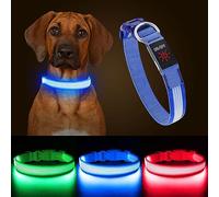 YFbrite Light up Dog Collar, Rechargeable LED Dog Collar, Flashing Dog Collar, Adjustable Reflective Dog Collar Safety Glowing at night (Item 2- Blue, Small)