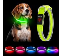 YFbrite Light up Dog Collar, Safety Night Walking (Green, Small) | 3 Flashing Modes, Waterproof, Full Illuminated, Type-C Rechargeabl