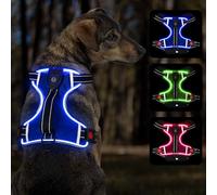 YFbrite Light up Dog Harness, Rechargeable Dog Harness Light, Adjustable Waterproof LED Dog Harness for Small, Medium and Large Dogs (Blue, Small)
