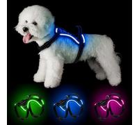 YFbrite Light up Dog Harness, USB Rechargeable LED Pet Harness, Flashing Night Visibility Wear, Adjustable Reflective Harness Glow in the Dark for Safety Glowing (Blue, Large)