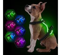 YFbrite Light up Dog Harness, USB Rechargeable LED Pet Harness, Flashing Night Visibility Wear, Adjustable Reflective Harness Glow in the Dark for Safety Glowing (Pink, Medium)