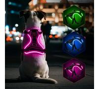 YFbrite Multicolor Light Up Dog Harness with Battery Indicator, Type-C USB Rechargeable LED Pet Harnesses with 7 Lighting Modes, Adjustable Harness for All Dogs Night Walking Safety (Multi-Color,XS)