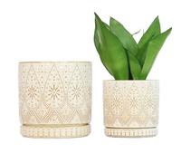YFFSRJDJ 8 Inch + 6 Inch Indoor Plant Pot with Drainage Holes and Saucers, Ceramic Planter for Plants, Succulent Orchid Flower Pots