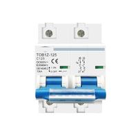 YFHGULBTK 2P 125A 100A 80A DC MCB 600V Circuit Breaker PV C Curve Battery Switch 1Pcs(100A)