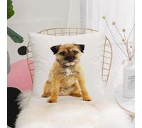 YFHJV Pillow Cover Throw Case Decor Home Living Room Couch Sofa Decorative Cushions Pillow Cover for Bedroom,young and active english border terrier,40x40 cm