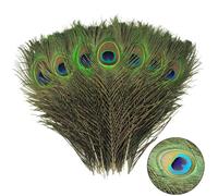 YFHUVB 15Pcs Peacock Feathers, Natural Large Feathers Peacock Feathers Long, Peacock Tail Feather for Wedding, Vase, Christmas Party Decoration, Peacock Costume, DIY Art & Craft