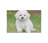 YFSGDLBN Bichon Frise Dog printed Imitation Linen Placemat Decorative Table Mat