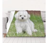 YFSGDLBN Bichon Frise Dog printed Ultra-Soft Micro Fleece Blanket soft throw Blanket