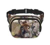 YFSGDLBN Funny Donkeys Printed Square Double Layer Waist Bag Daily Casual Chest Bag