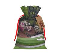 YFSGDLBN Golf Course printed Drawstring Gift Bags with Tag Christmas Decoration Bag