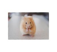 YFSGDLBN Maroon Hamster printed Imitation Linen Placemat Decorative Table Mat