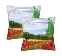 YFSGDLBN Poppies Field Yellow Brick Road printed Square pillow Set of 2 decorative pillowcase
