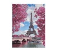 YFSGDLBN Vintage Style Eiffel Tower Paris printed Flannel Blanket throw blanket lightweight plush blanket