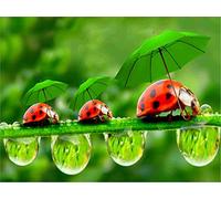 ygghj Stamped Cross Stitch Kit with Fabric DIY Embroidery Kits for Beginners Children & Adults with 11CT Printed Pattern Animal ladybug 40 * 50cm