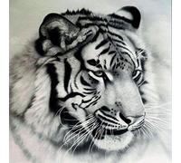 ygghj Stamped Cross Stitch Kit with Fabric DIY Embroidery Kits for Beginners Children & Adults with 11CT Printed Pattern Animal tiger 40 * 50cm