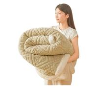 YGMNQAL Fluffy Couch Throw Blanket Ultra Soft Double Layer Blanket For Bed Thickened Cozy Velvet Warmth Blanket Autumn Winter Plush Blankets For Sofa Nap(Retro Green,180x200cm)