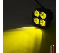 Ygmylandbb LED Work Light Daylight Auxiliary Light 40W 4-LED 6500K 5000LM Deck Light DC12V 24V for Camping Night Fishing Outdoor Lighting Universal, 2pcs