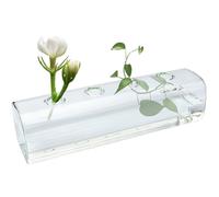 YGNNBC Horizontal Glass Hydroponic Vase, Creative Propagation Station for Desktop Decoration, Desktop Decorative Vase and Floral Container, Office and Home Decor. (8.5in/21.6CM)