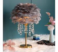 YGWXYYZJ Feather Lamp Enchanting With 3-Color Temperatures Dimmable Crystal Table Lamp Cute Princess Desk Light Small LED Bedside Lamp for Wedding Gift(Gray)