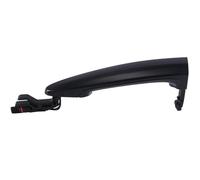 YHAINI Car Exterior Door Handles Car Exterior Door Handle for BMW X1 X3 X5 X6 M3 E90 E91 E84 E71 E70 2008-2015(L)