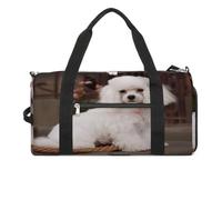 YHEGBFD Gym Bag French Poodle Gym Bag for Women Men Backpack Gym Bag with Shoe Compartment Reusable Gym Bag Mini Gym Bag, French poodle, One Size