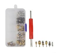 Yhenlovtt Automotive Air Conditioning Valve Core Repair Kit for R12 R134a, 102-Piece AC Valve Core Set with 100 Copper Cores and 2 Remover To