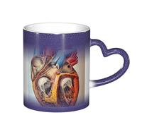 YHFBCYTRX Human Anatomy Heart Chart Color Changing Coffee Mug - 11oz Heat Sensitive Ceramic Mug, Gift for Family, Friends, Christmas & Birthdays