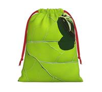 Yhlklwkszc Christmas Gift Bags with Drawstring 3 Sizes for Birthday Party Wedding Party Frog