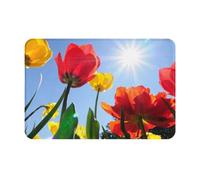 YHLKLWKSZC Welcome Mat,Flowers in Sunshine Print Cute Welcome Door Mats Rugs for Entrance Bedroom Bathroom Kitchen, 24x16in