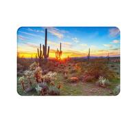 YHLKLWKSZC Welcome Mat,Saguaros at Sunset Print Cute Welcome Door Mats Rugs for Entrance Bedroom Bathroom Kitchen, 24x16in