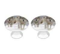 YHNNH 2 Pack Cabinet Door Knobs,Two Wolves Walking in The Snowprinted 28mm Round Drawer Pulls Stainless Steel Kitchen Cupboard Furniture Handles