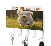 YHNNH Key Hooks Wall Mounted,Puppy Crossing The Grassprinted Plastic Decor Key Hangers for Wall with 5 Key Hooks Custom Key Rack for Entryway Living Rooms Office