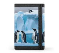 YHNNH Penguins On The Iceberg Trifold Wallet Polyester Casual Wallets Portable Stylish Coin Purse for Men And Women