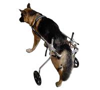 YHNNH pet trolley， Large/Medium Dog Cart Wheelchairs, 2 Wheels Assisted Walker for Paralyzed Hind Limbs, Aluminum Mobility Aids - 5 Size Optional(Size XXXL)